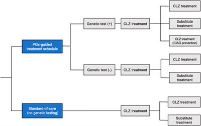 Pharmacogenomic-guided clozapine administration based on HLA-DQB1, HLA-B and SLCO1B3-SLCO1B7 variants: an effectiveness and cost-effectiveness analysis